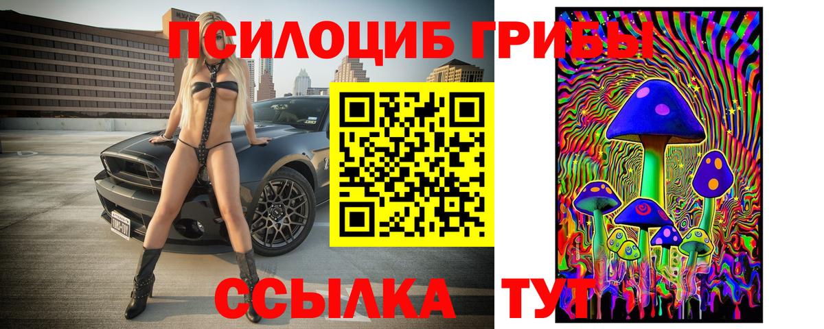 Псилоцибиновые грибы Psilocybine cubensis  Вход с VPN  Новошахтинск 